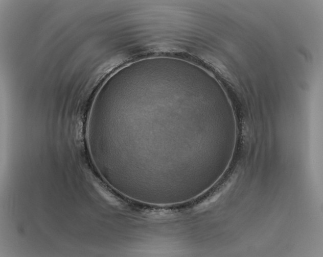 X0000113220881200909101148