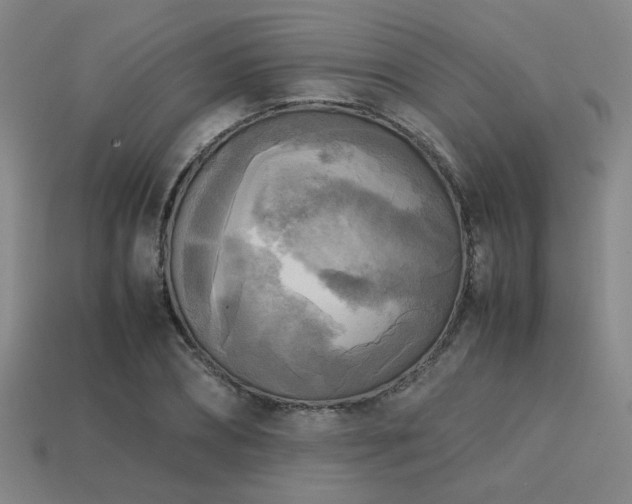X0000113220882200909101148