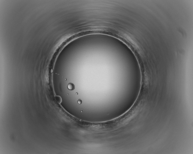 X0000113220883200909101148