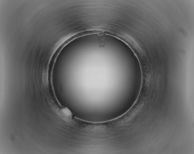 X0000113220884200909101148