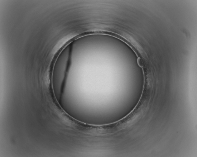 X0000113220885200909101148