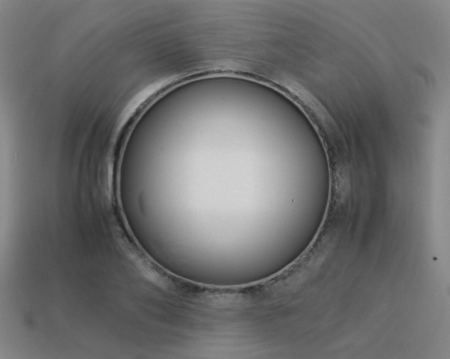 X0000113220886200909101148