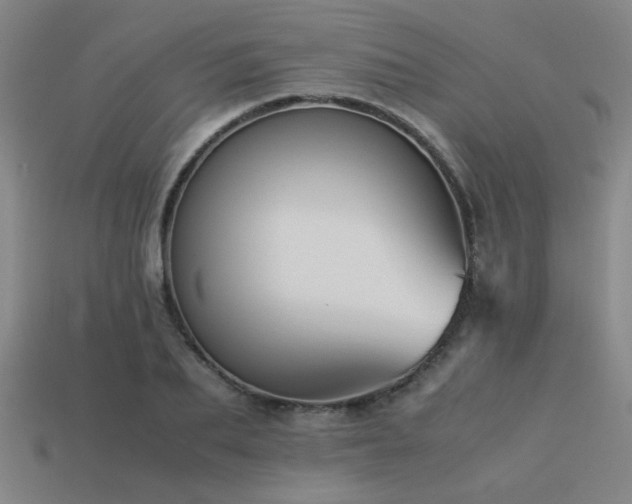 X0000113220887200909101148