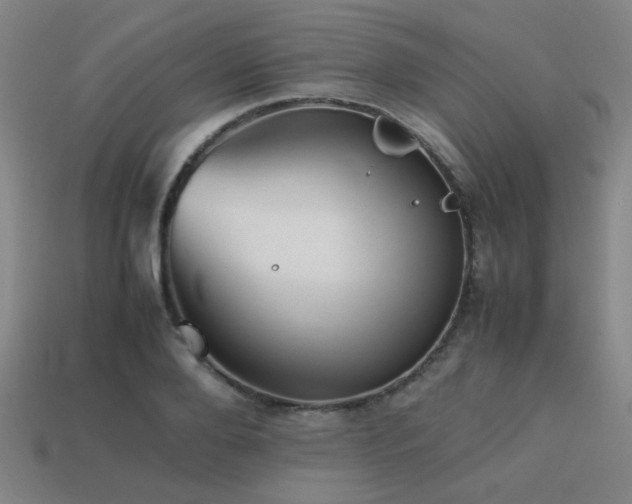 X0000113220888200909101148