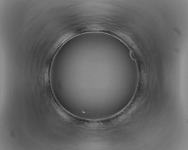 X0000113220889200909101148