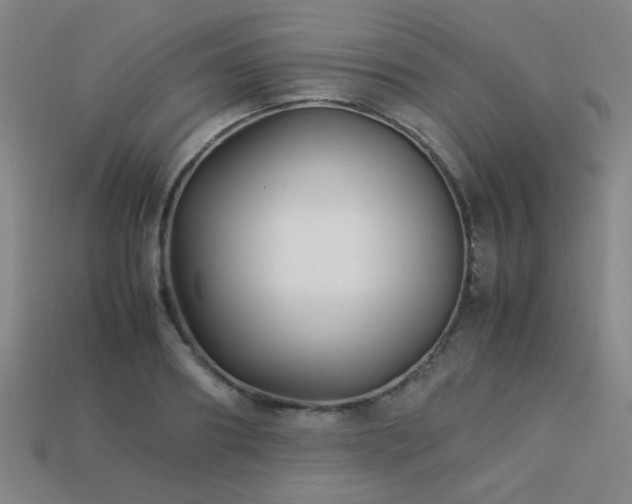 X0000113220890200909101148