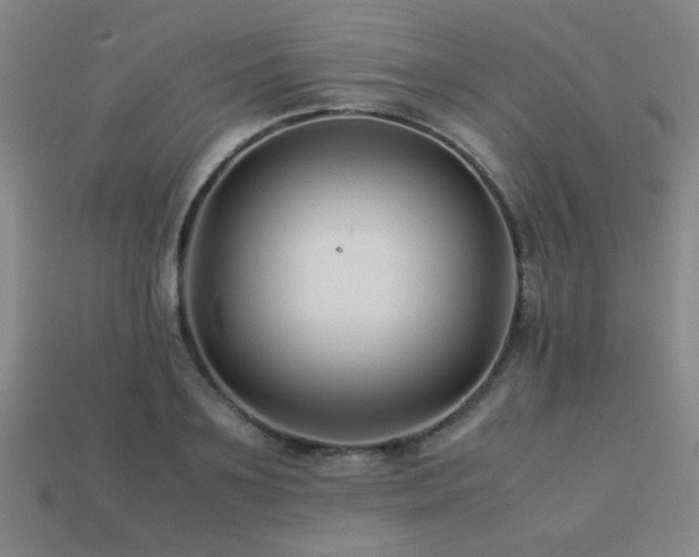 X0000113220891200909101148