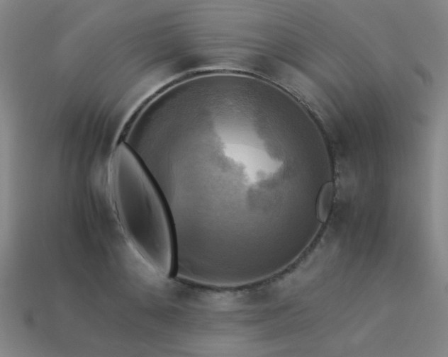 X0000113220892200909101148
