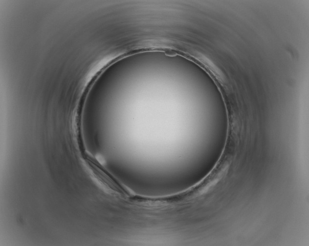 X0000113220893200909101148