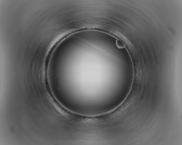 X0000113220894200909101148