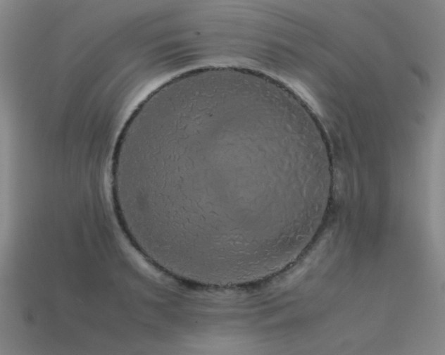 X0000113220895200909101148