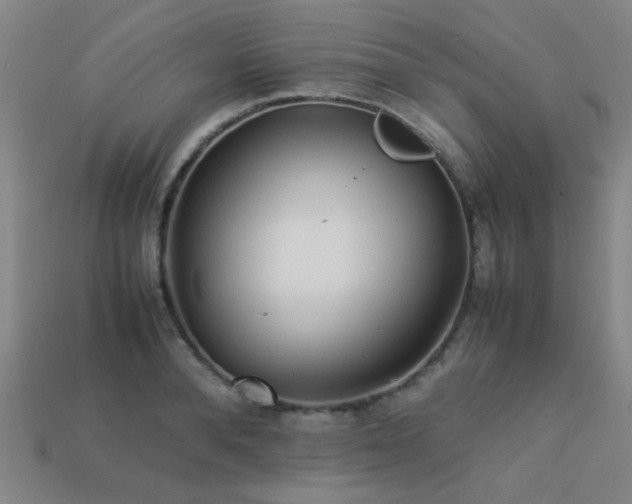 X0000113220896200909101148