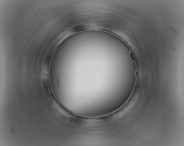 X0000113220897200909101148