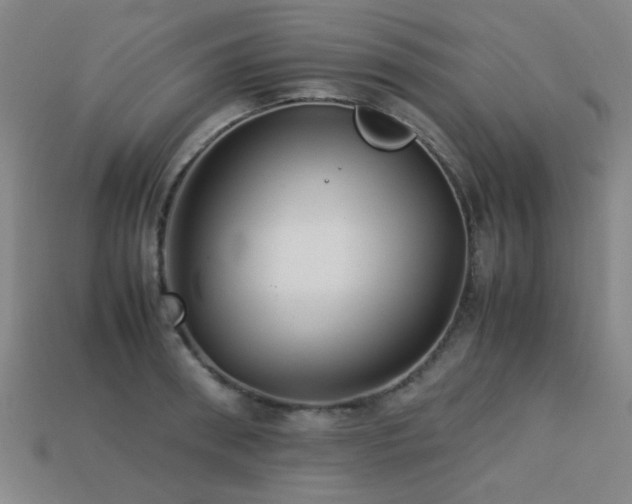 X0000113220898200909101148