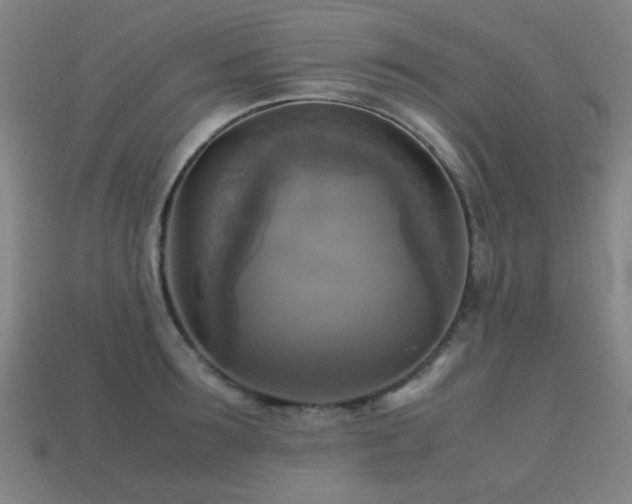 X0000113220899200909101148