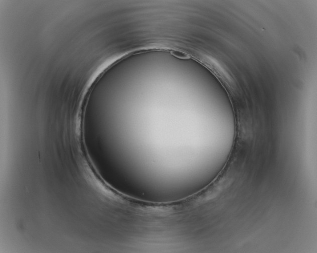 X0000113220900200909101148