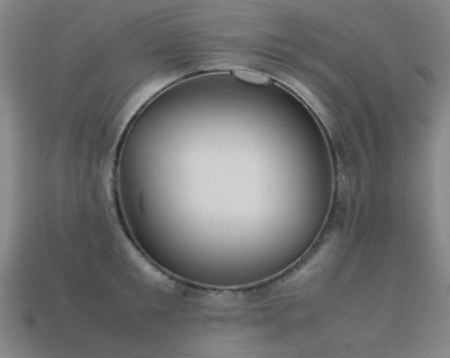 X0000113220901200909101148