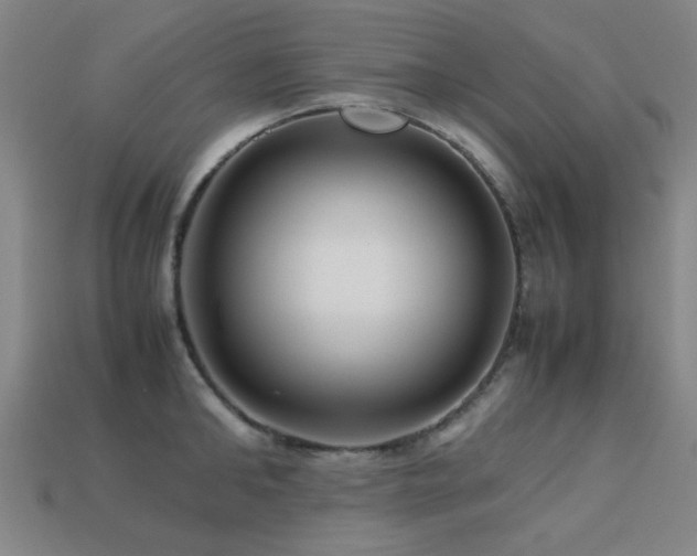 X0000113220902200909101148