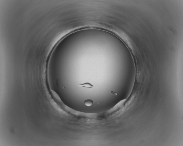 X0000113220903200909101148