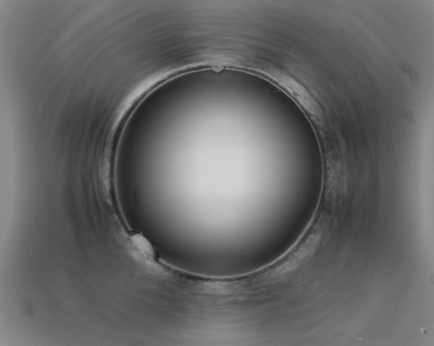 X0000113220904200909101147