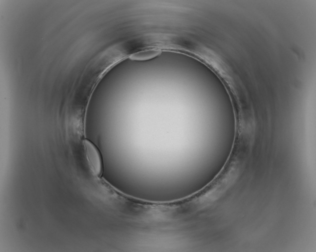 X0000113220905200909101147