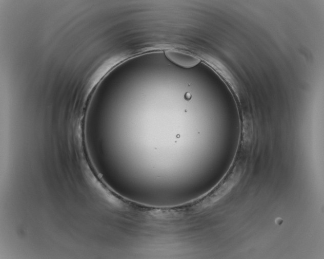 X0000113220906200909101147