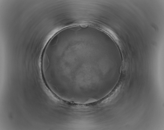 X0000113220907200909101147