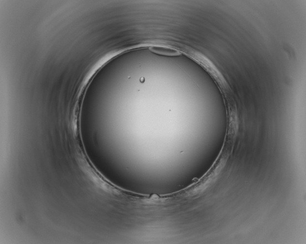 X0000113220908200909101147