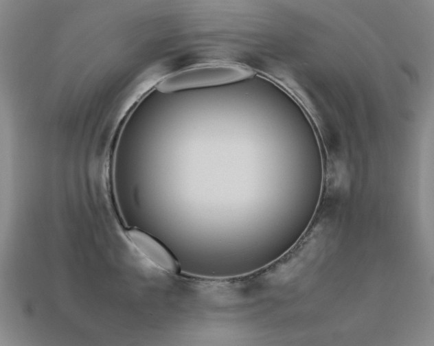 X0000113220909200909101147