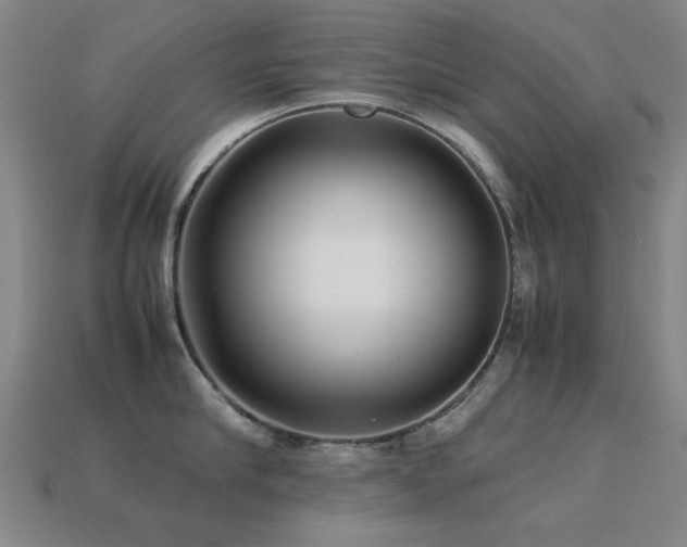 X0000113220910200909101147
