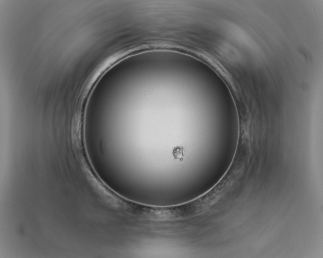 X0000113220911200909101147