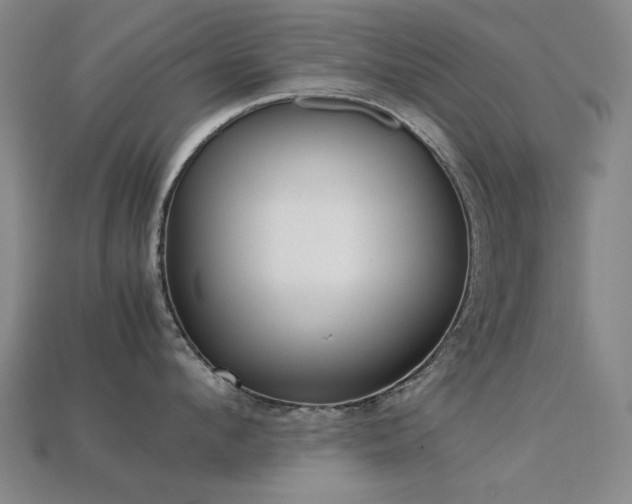 X0000113220912200909101147