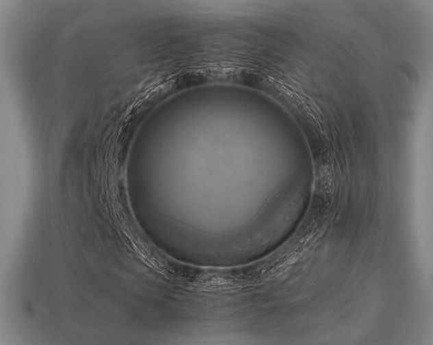 X0000113220913200909101147