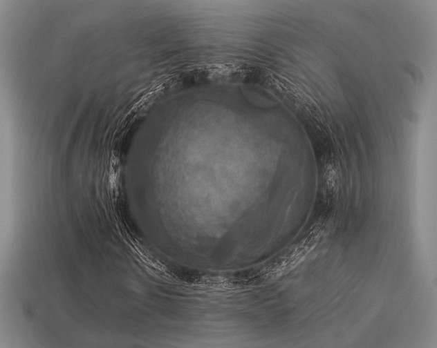 X0000113220914200909101147