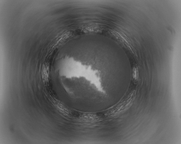 X0000113220915200909101147