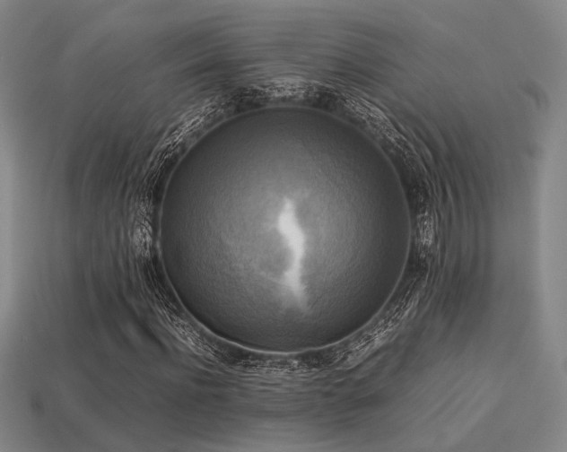 X0000113220916200909101147