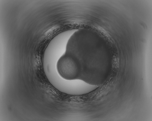 X0000113220918200909101147