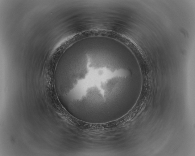 X0000113220919200909101147