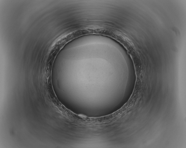 X0000113220920200909101147