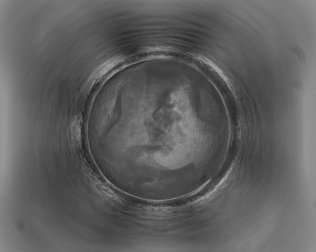 X0000113220921200909101147