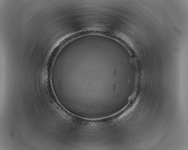 X0000113220923200909101147
