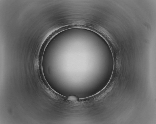 X0000113220924200909101147