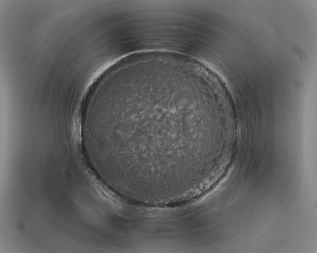 X0000113220925200909101147