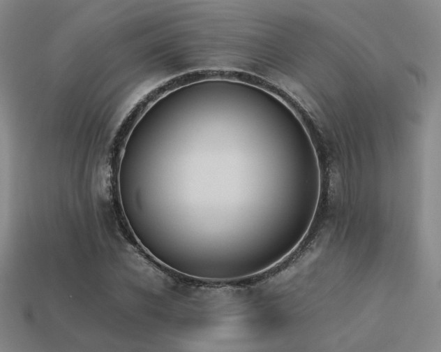 X0000113220926200909101147