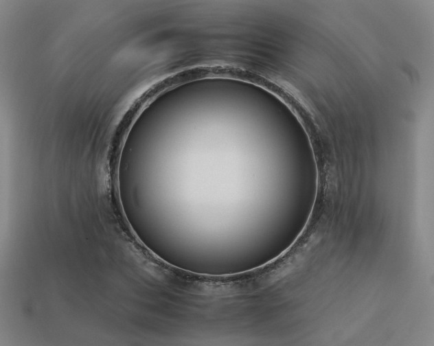X0000113220927200909101147