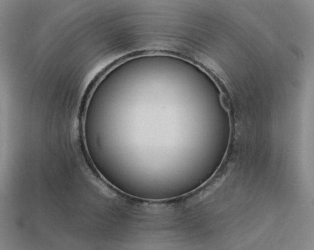 X0000113220928200909101147