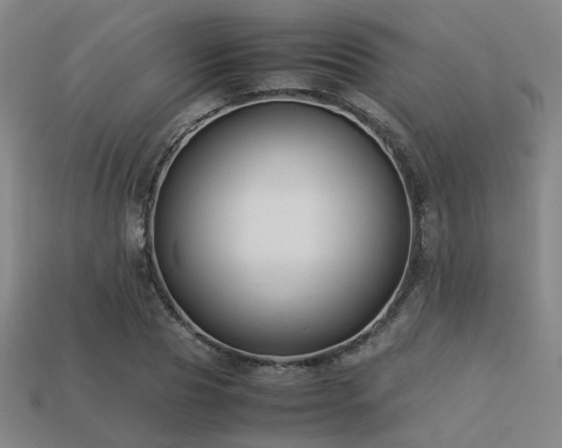 X0000113220929200909101147