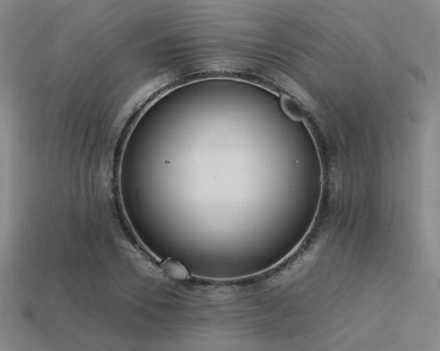 X0000113220930200909101147