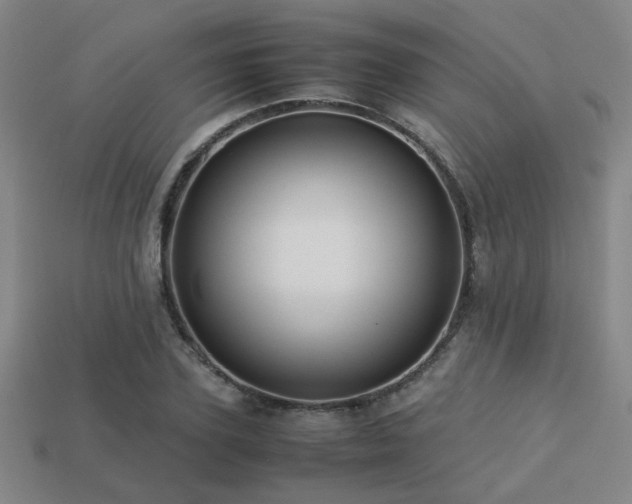 X0000113220931200909101147