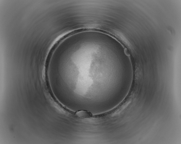 X0000113220932200909101147